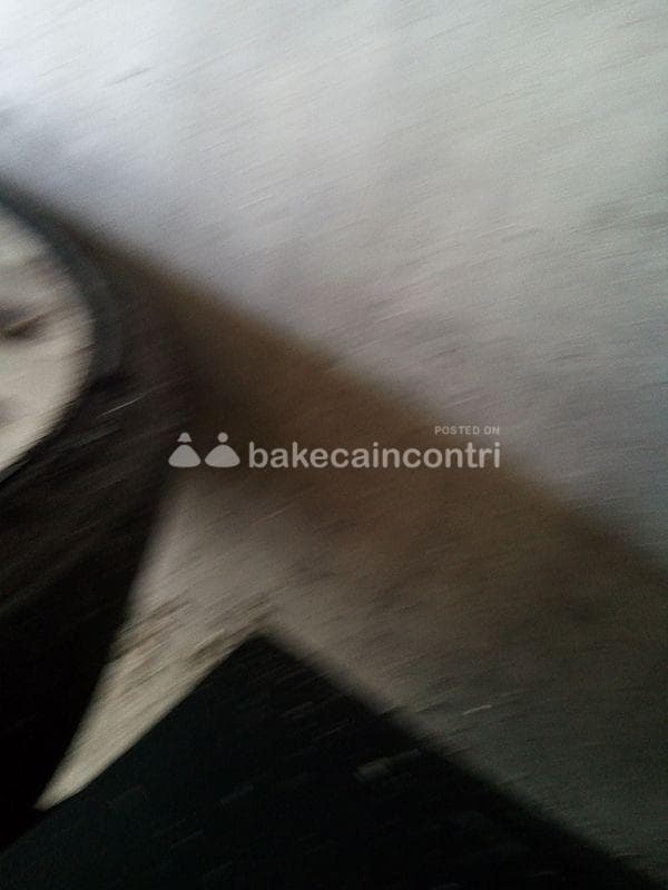 foto 3929446681