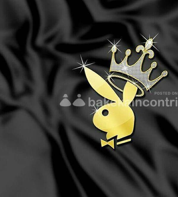 foto 3334943166