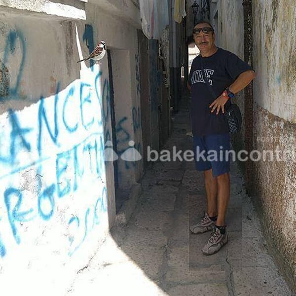 foto 3409689979