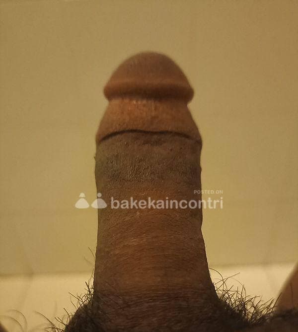 foto 3510683628