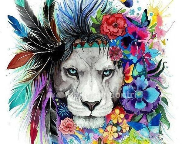 foto 3492122695