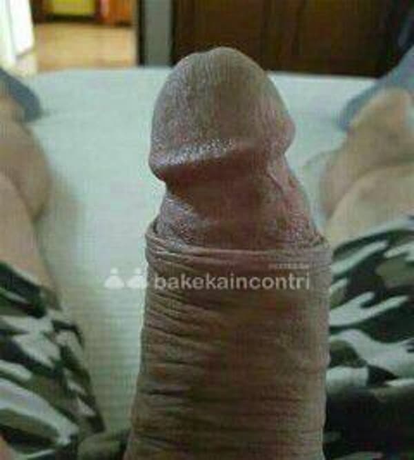 foto 3485660707