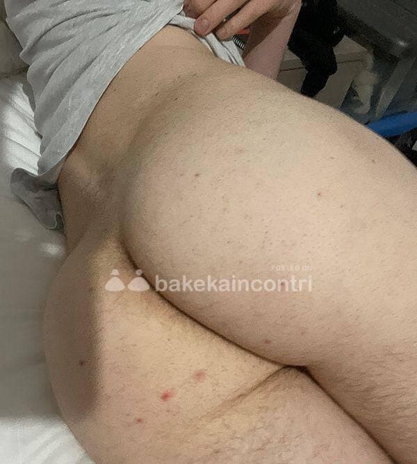 3893136069