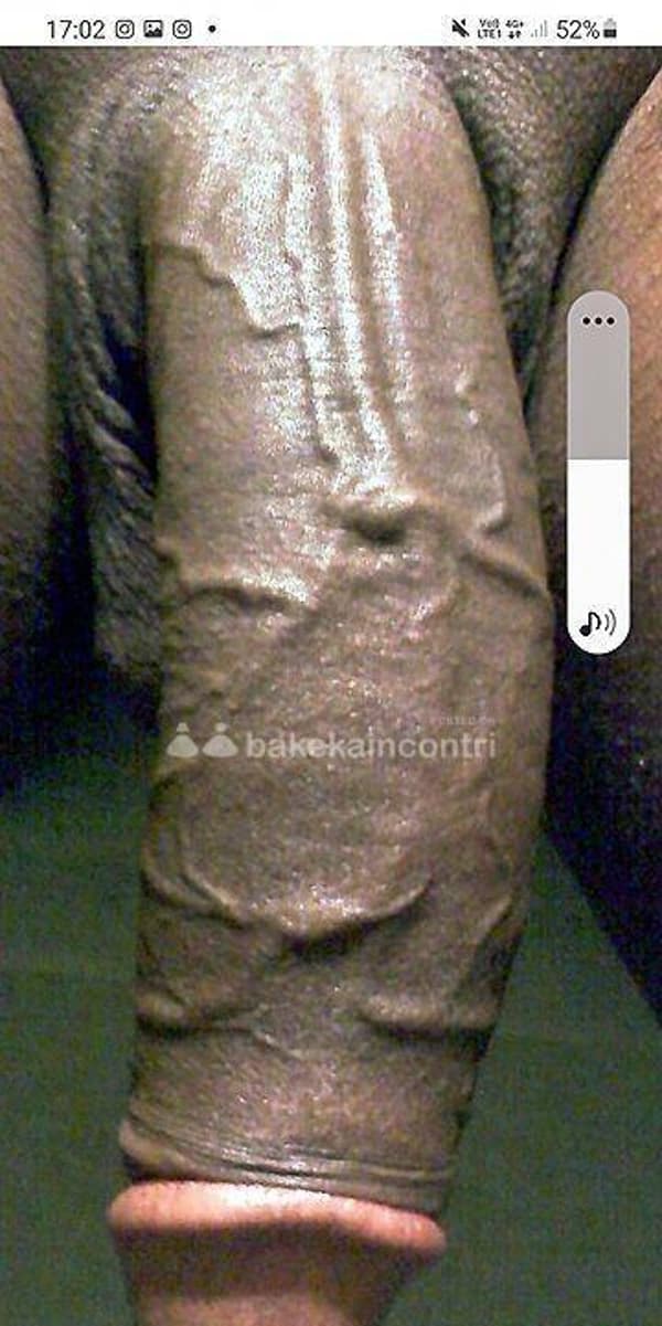 foto 3492785290