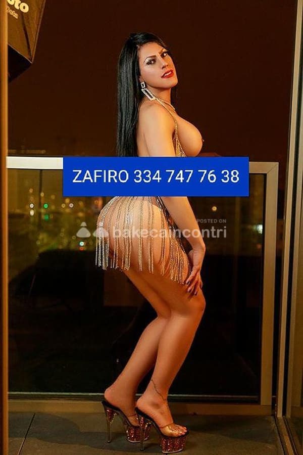 3347477638