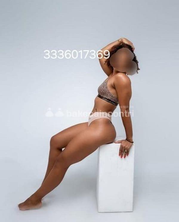 3336017369