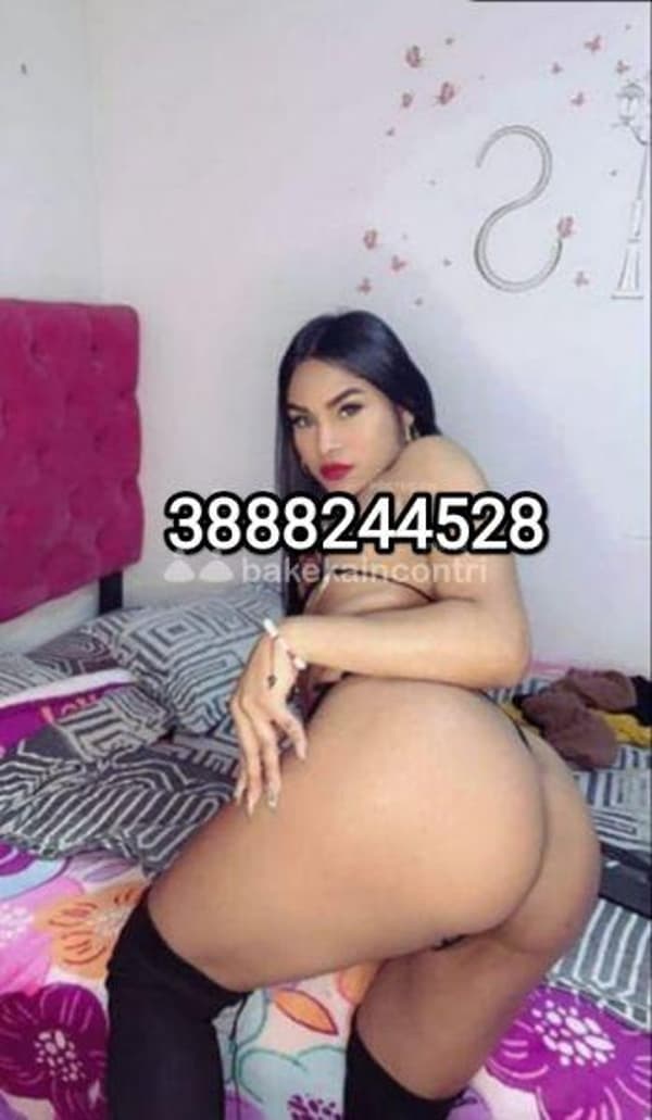 foto 3888244528