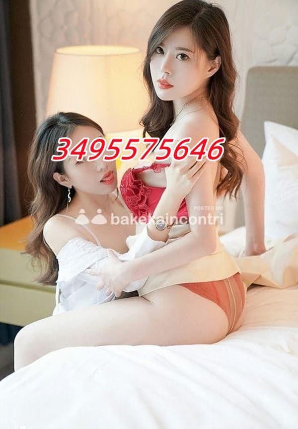 3495575646