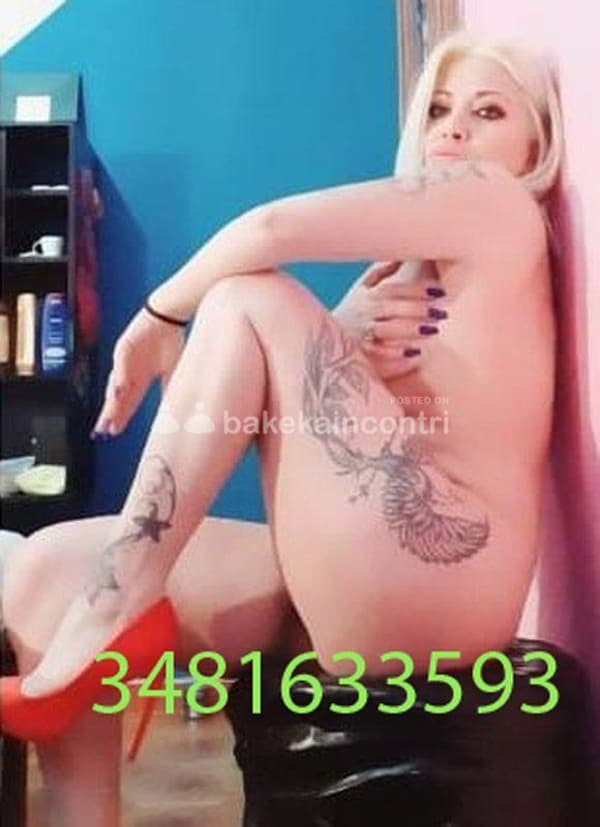 3481633593