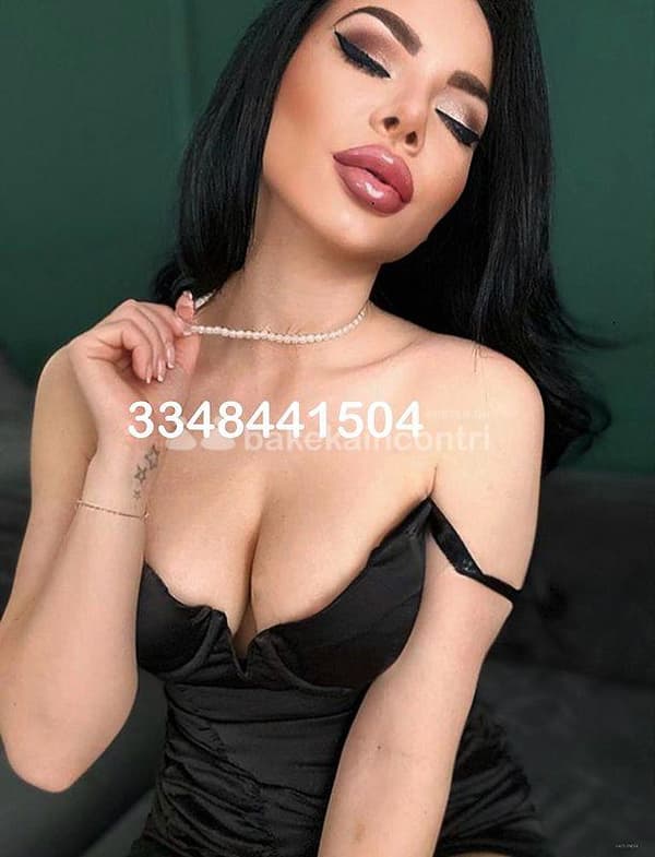 3348441504