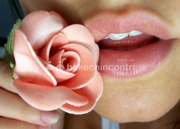 foto 3701561714