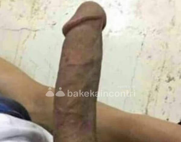 3516968056