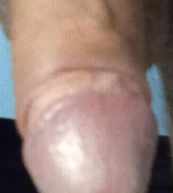 3317203495