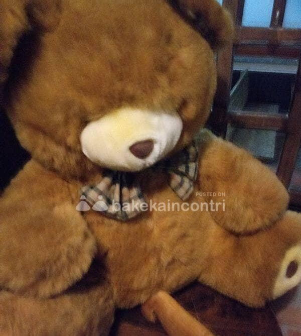 foto 3421041848