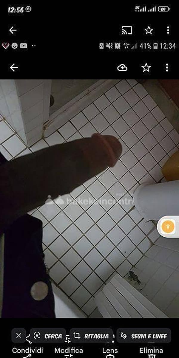 foto 3516141560