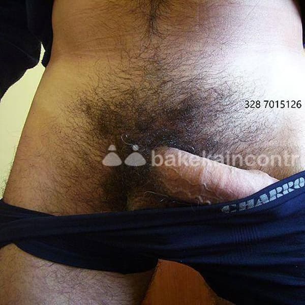 foto 3287015126