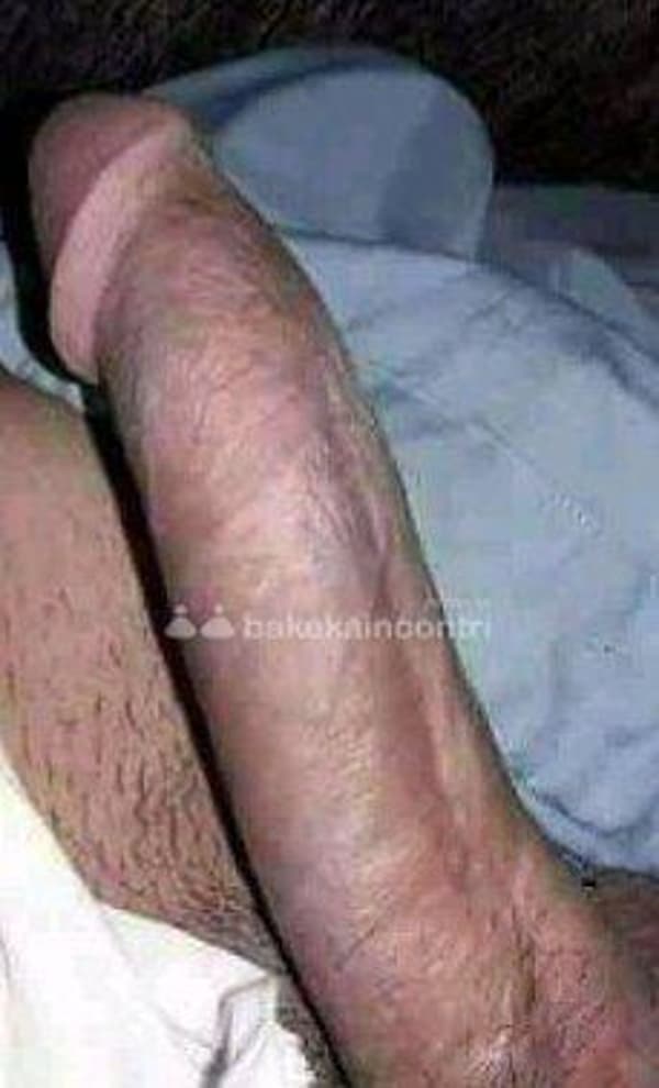 foto 3509524733