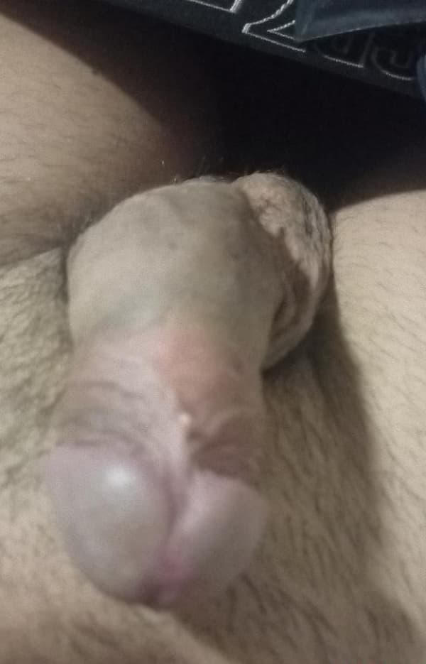 foto 3347919889