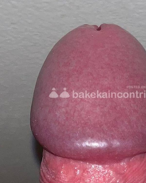 foto 3806810982