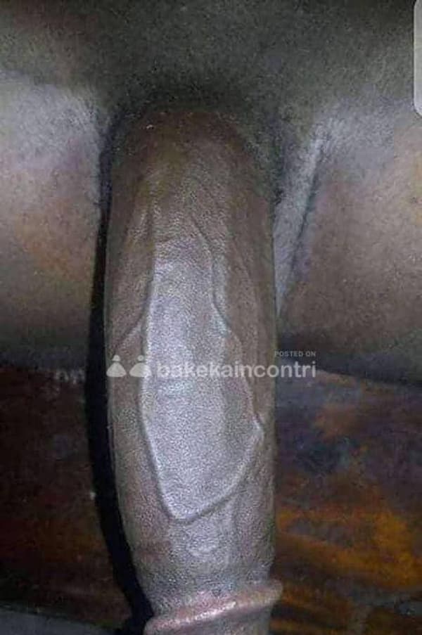 foto 3509380479