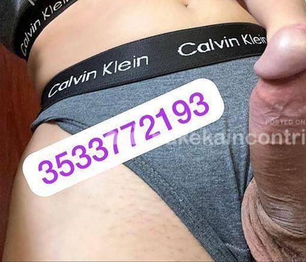 3533772193