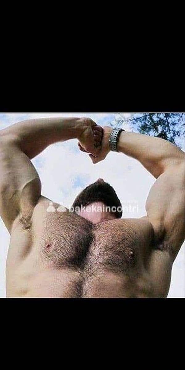 foto 3509838748