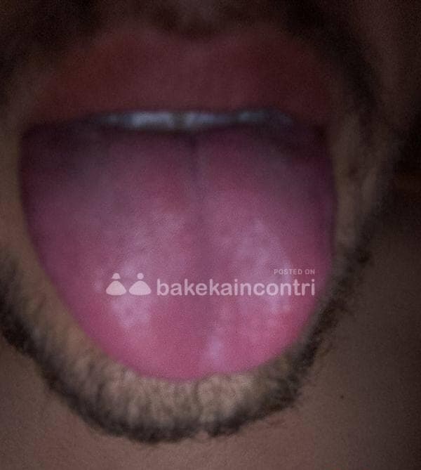 foto 3290193733