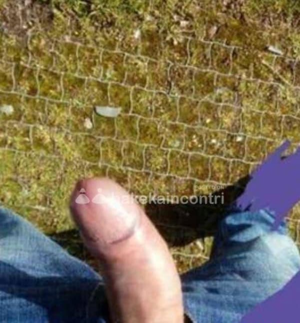 foto 3662867202