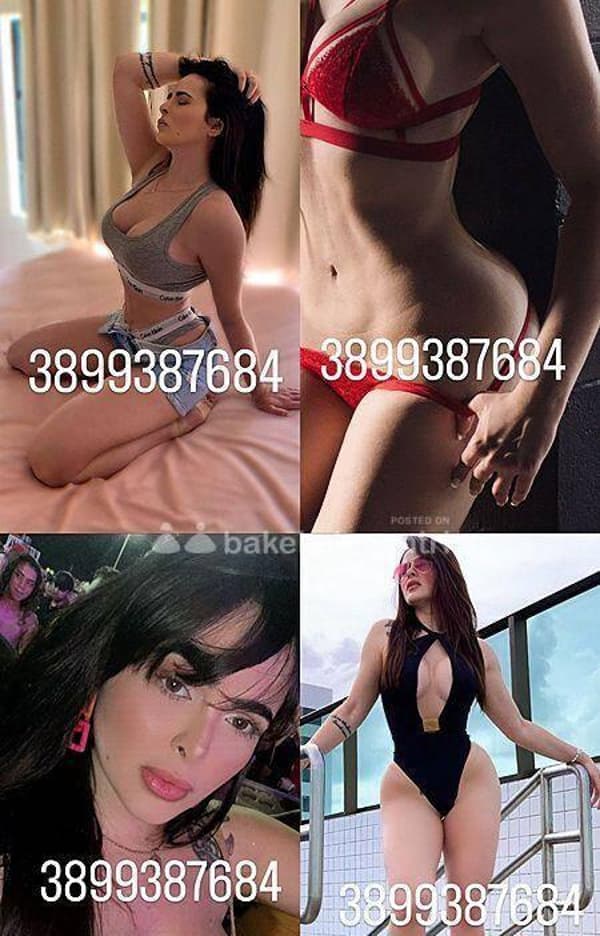 3899387684