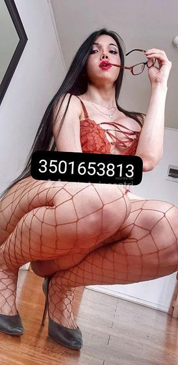 3501653813