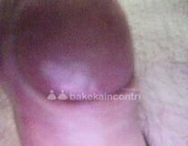 foto 3395386297