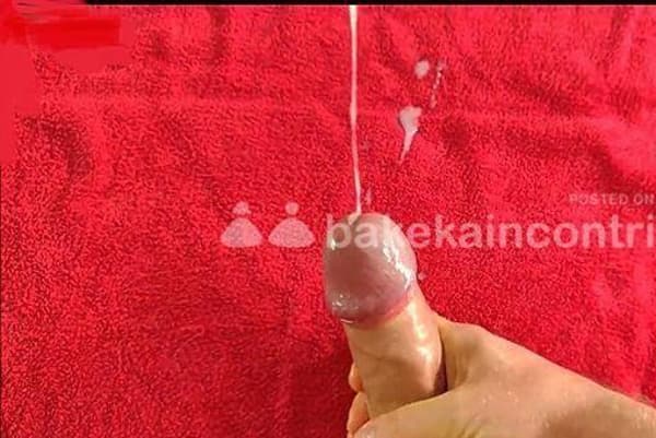 foto 3204167796