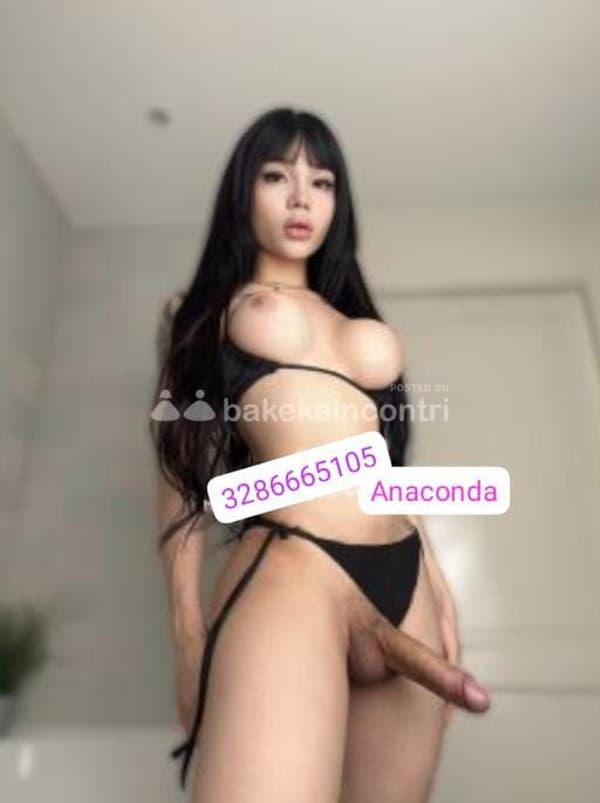 3286665105