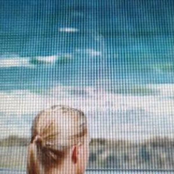 foto 3500153898