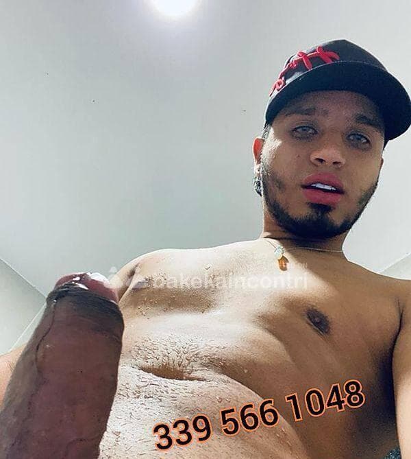 3395661048
