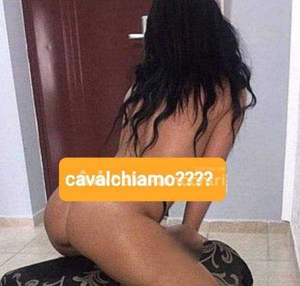 foto 3791511980
