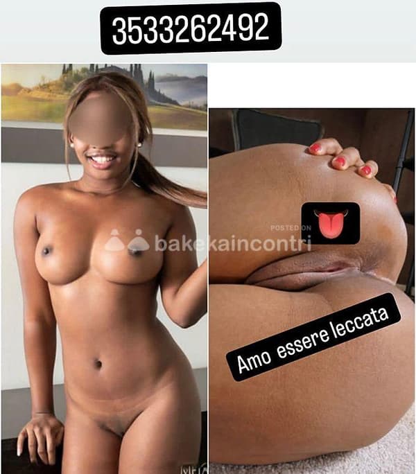 3533262492