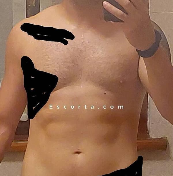 3516664247