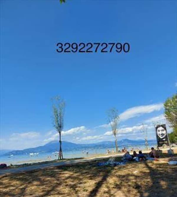foto 3292272790