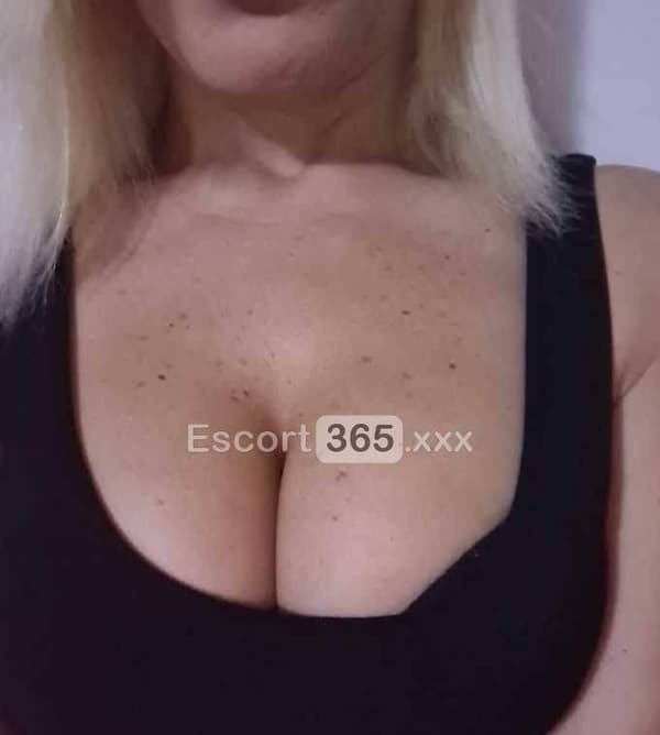 3917538084