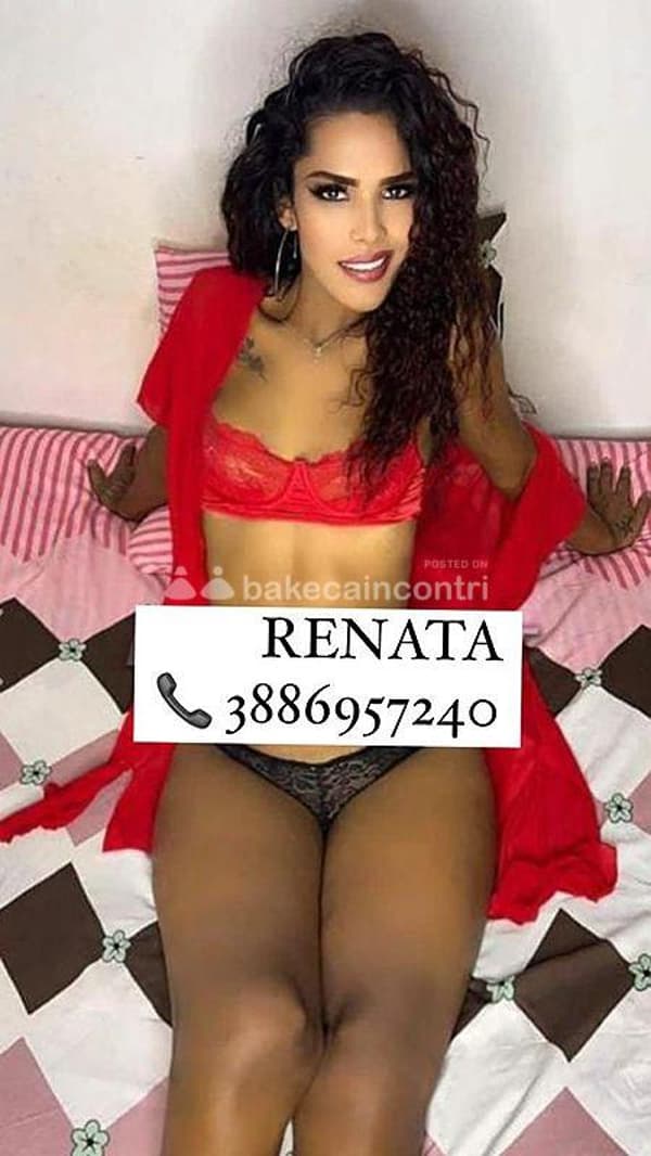 3886957240
