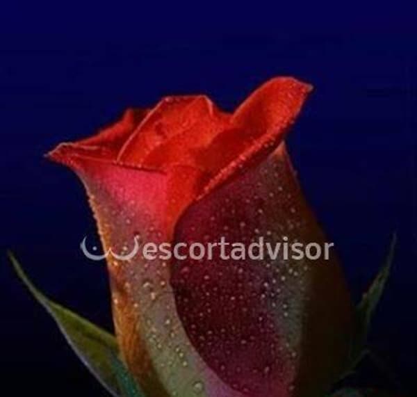 foto 3458045603