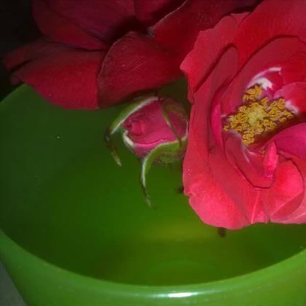 foto 3899544032