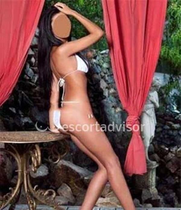 foto 3664020329
