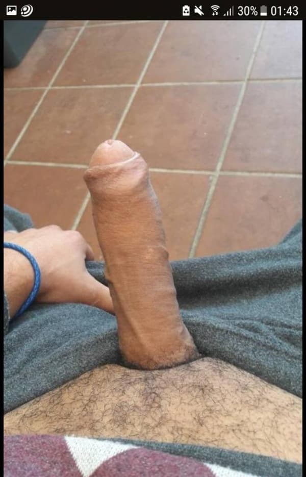 3202658043
