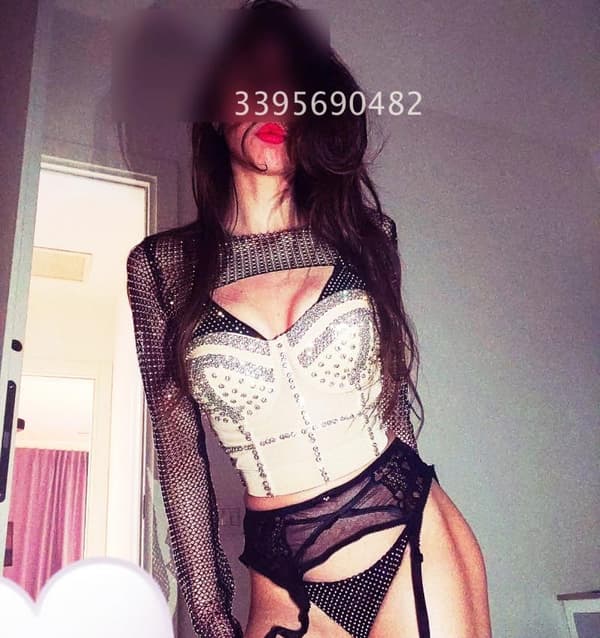 3395690482