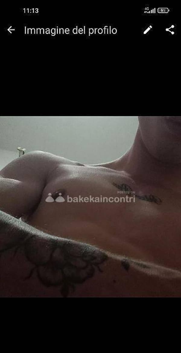 foto 3392102966