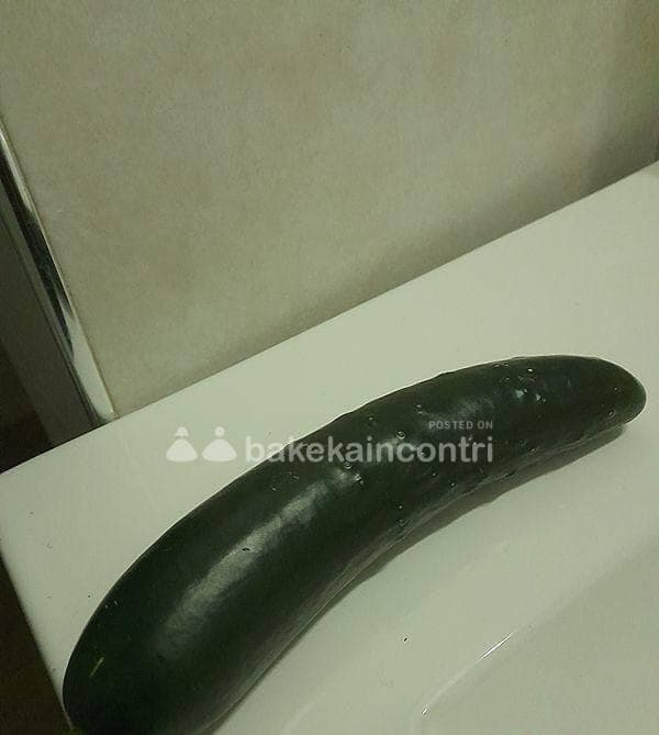 foto 3509000170