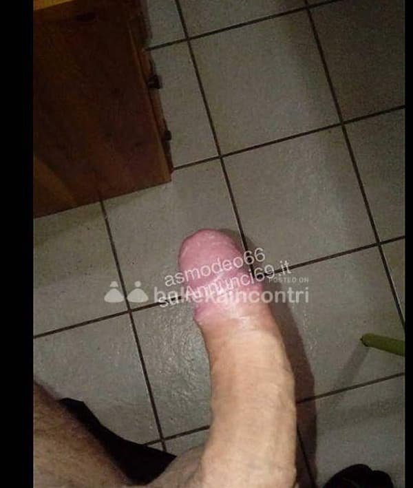 foto 3287060374