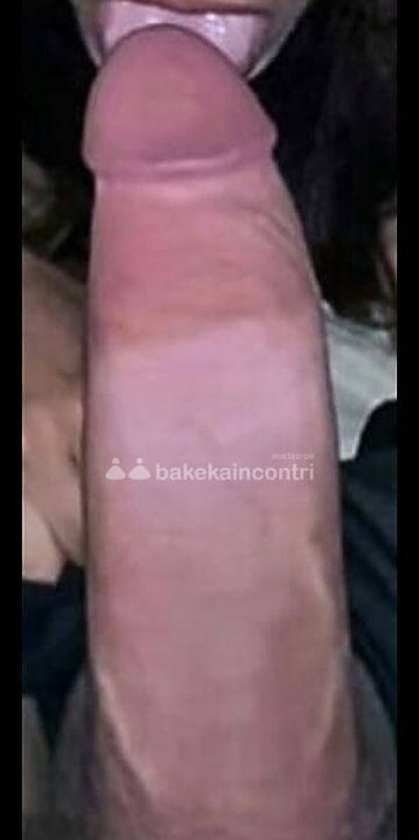 foto 3200416615